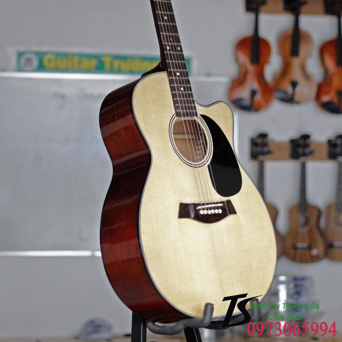 Guitar Acoustic HD100 