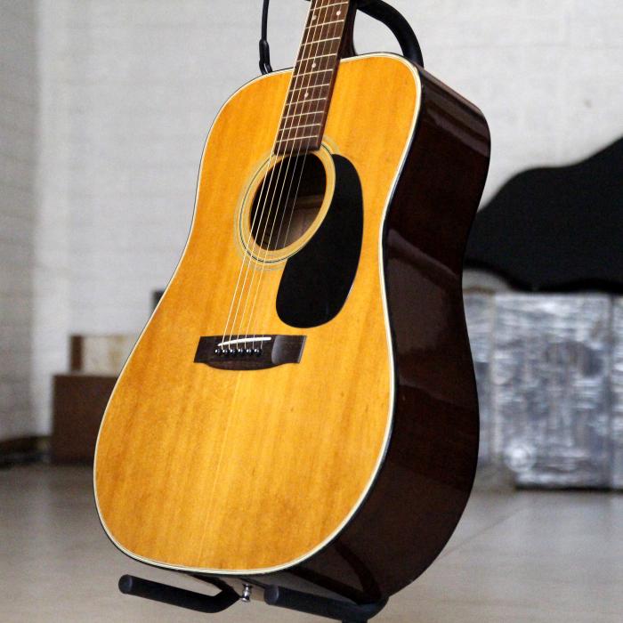 Guitar Acoustic Morris W20 tại Cần Thơ