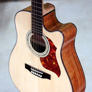 Guitar Acoustic HD220 Phiên bản 2018