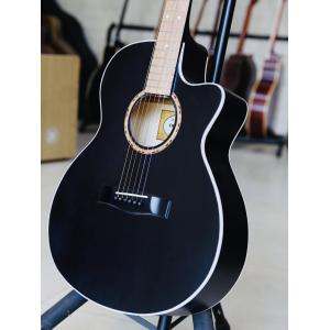 Guitar Acoustic VE80 2024